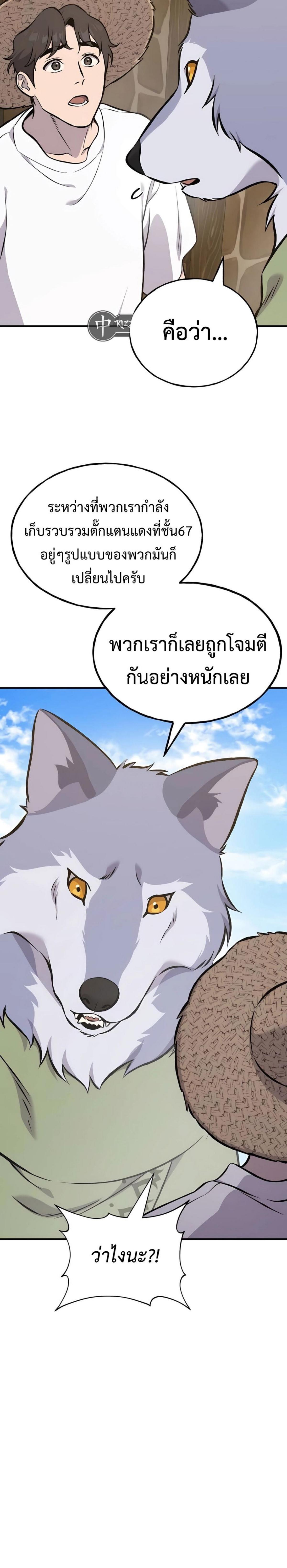 Solo Farming in the Tower ตอนที่ 83 แปลไทย page 5